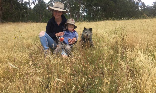 Get the lowdown on flowering native grasses and soil health