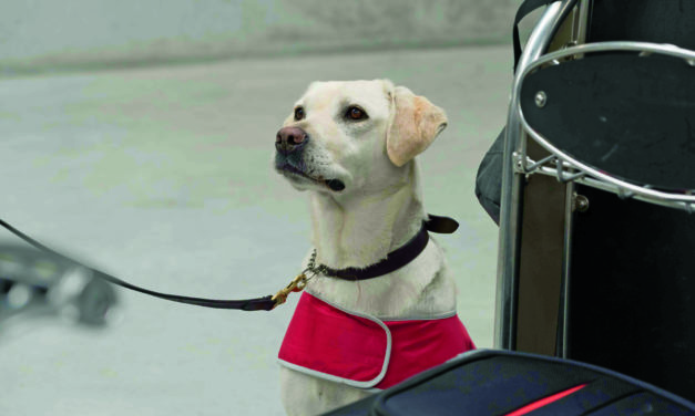 PAWSOME detector dog achievements