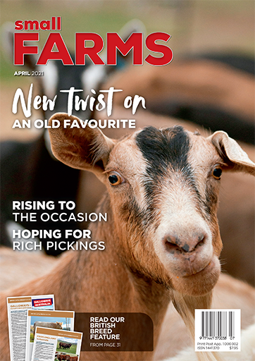 Small Farms April 2021