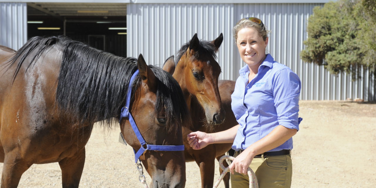 Kyabram vet is setting the pace