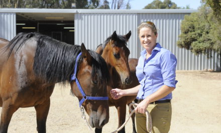 Kyabram vet is setting the pace