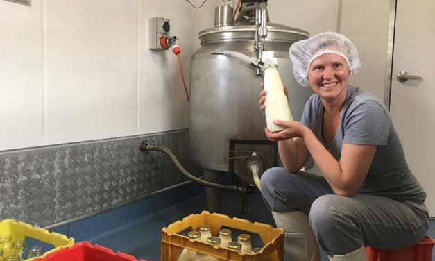 Tiny dairy is milking big ideas