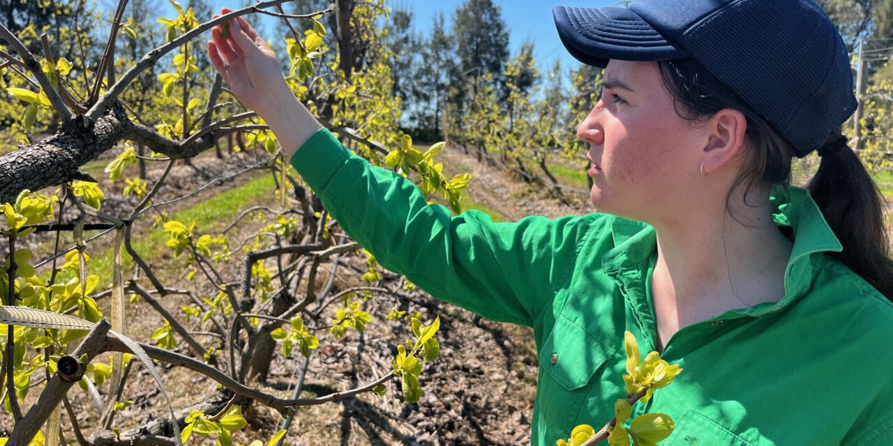 A girl, her dog and her orchard