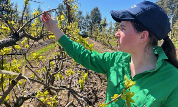 A girl, her dog and her orchard