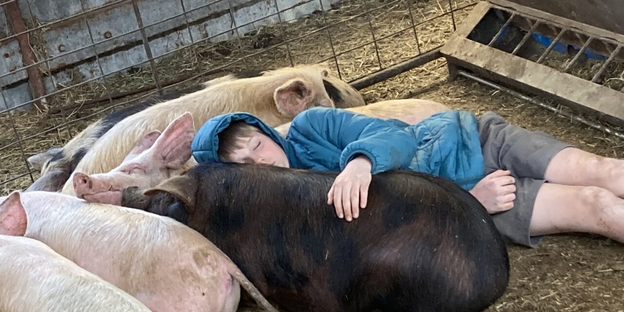 Young farmer in a class of his own