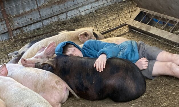 Young farmer in a class of his own