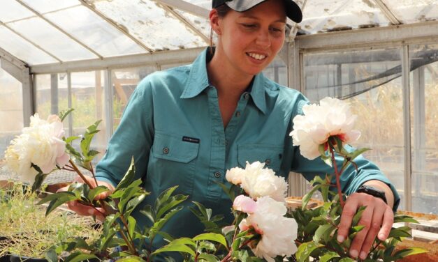 A blooming good idea