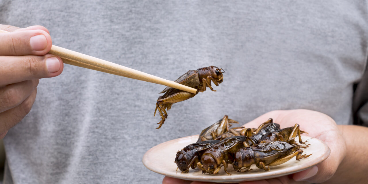 It’s not just crickets