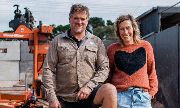 A sustainable timber solution