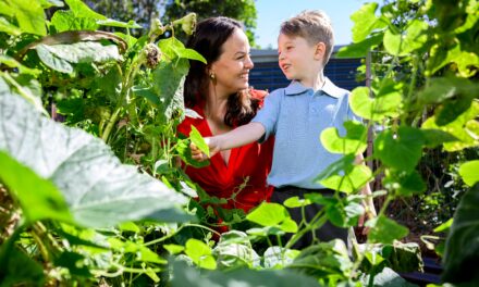 AI helping grow greenhouses in schools