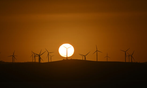 App to reveal value of renewables