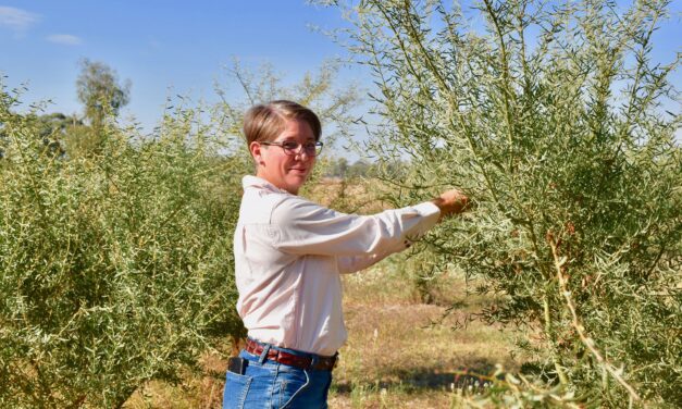 Sowing seeds in business