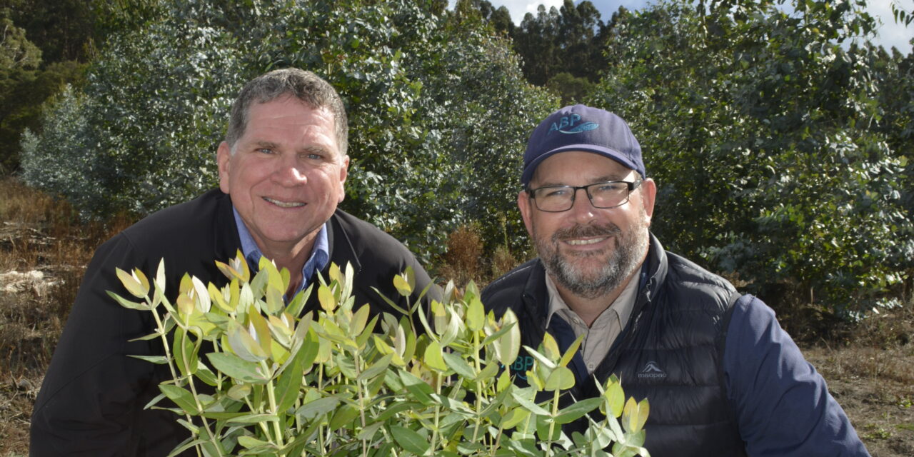 Sowing the seeds of the future