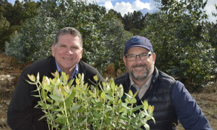 Sowing the seeds of the future