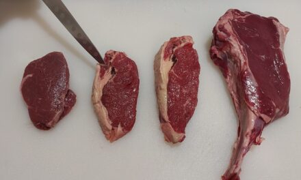 Secrets of a steak sanga