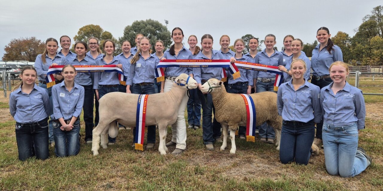 Finley High shines at Holbrook