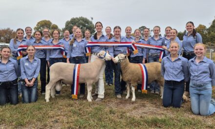 Finley High shines at Holbrook