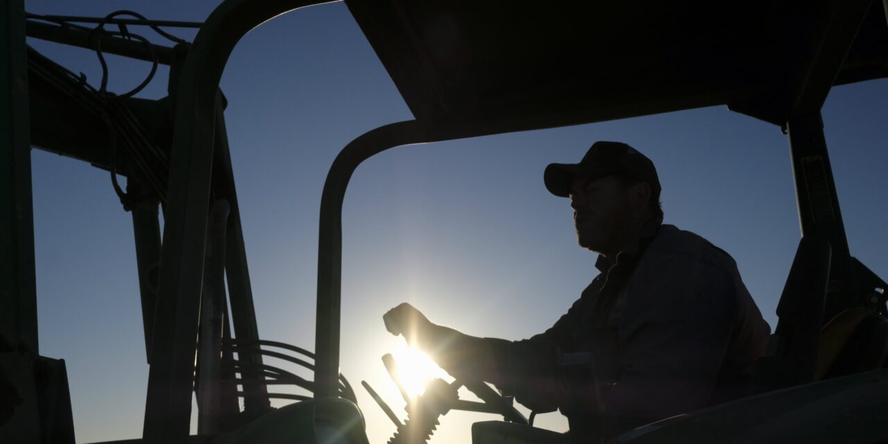Where have all the farmers gone?