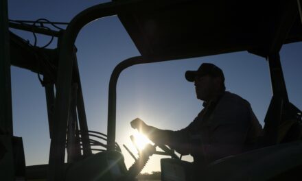 Where have all the farmers gone?