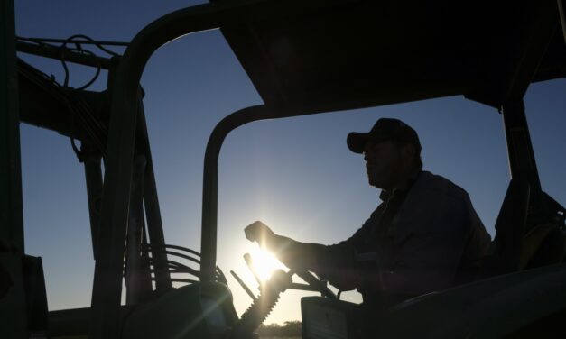 Where have all the farmers gone?