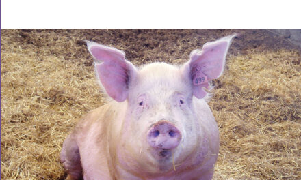 PIG AGSKILLS