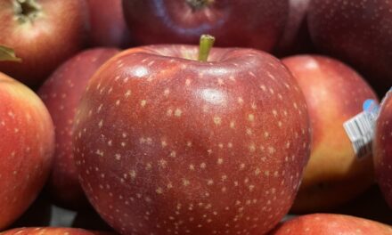 An apple a day? Make that two