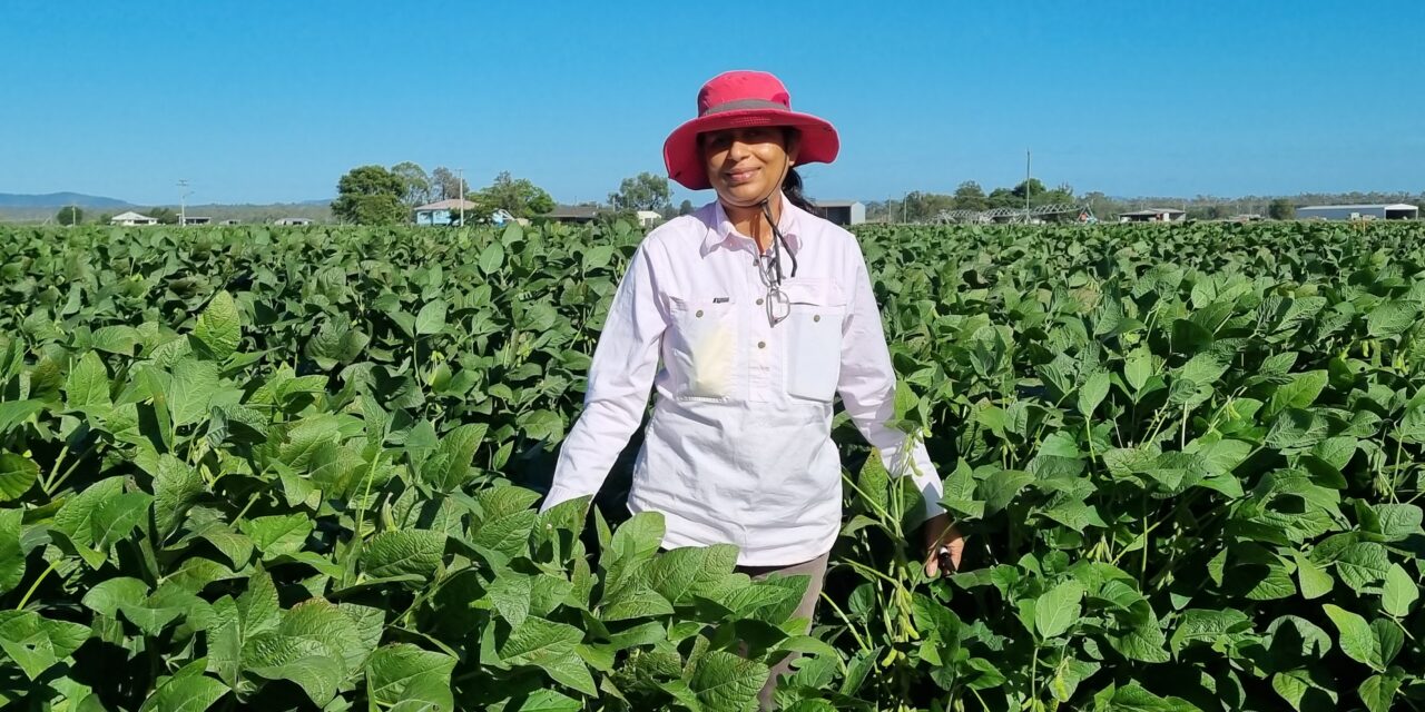 Building carbon for soil, crop health