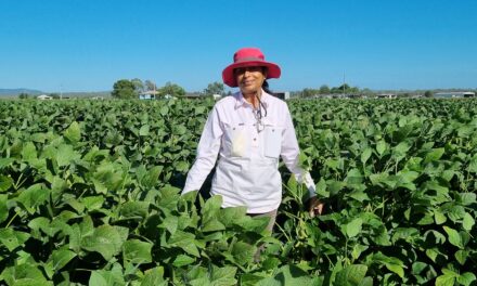 Building carbon for soil, crop health