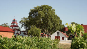 Tahbilk Estate is coming into the 165th year since its founding, as well as its 100th year of Purbrick family ownership.