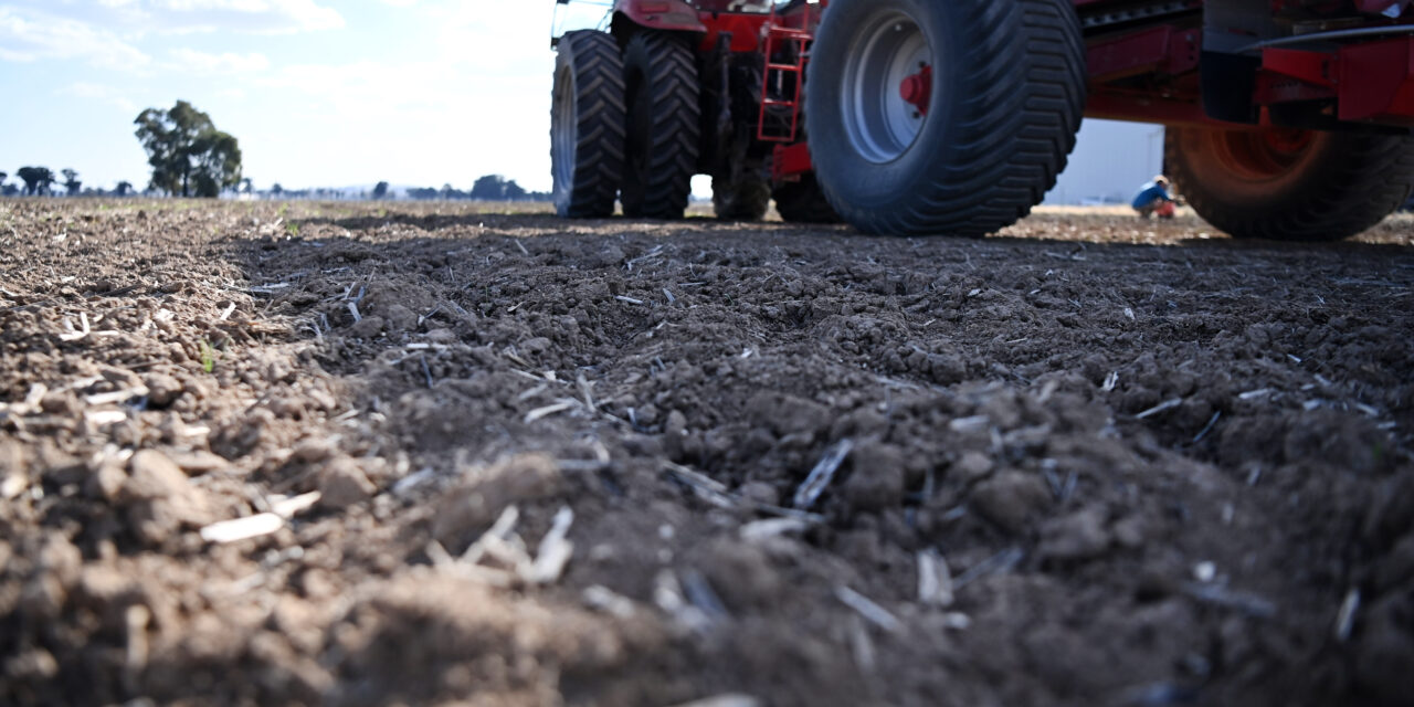 Winter cropping a ‘mixed bag’ across Australia, report says