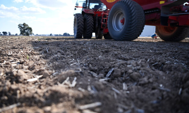 Winter cropping a ‘mixed bag’ across Australia, report says