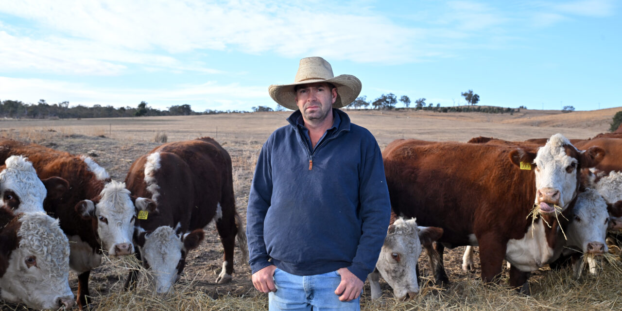 Farmers battle historic drought