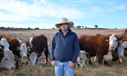 Farmers battle historic drought