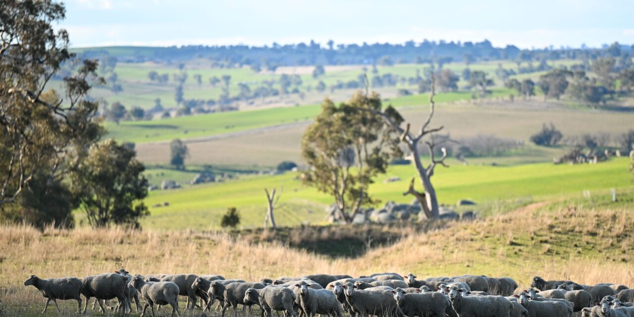 Farmland values growing