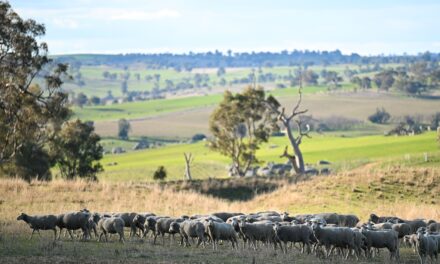 Farmland values growing