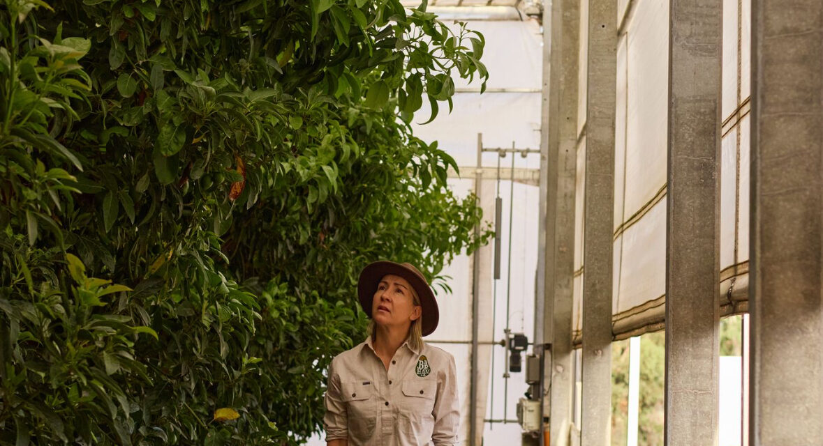 Farming with care