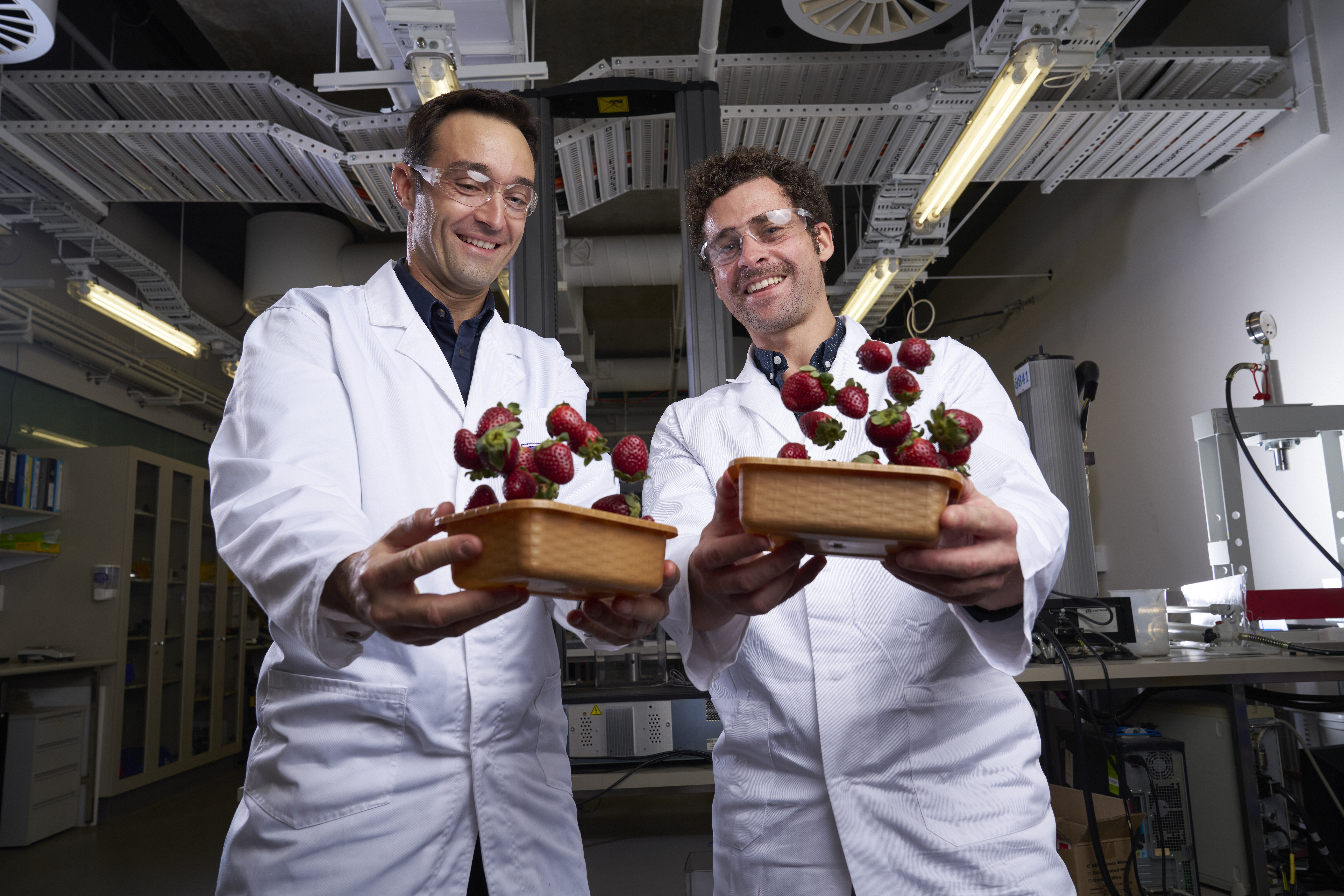 Strawberry shields forever