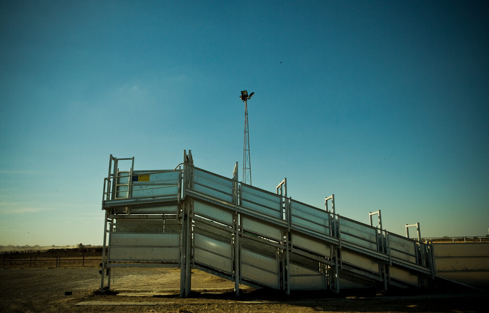 Are your livestock fit to load?