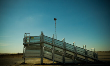 Are your livestock fit to load?