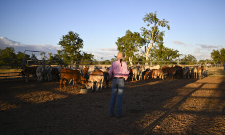 Shining a light on women