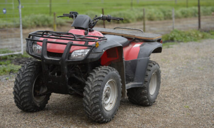 Quad bike deaths dropping