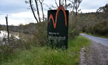 Group funded to support farm forestry