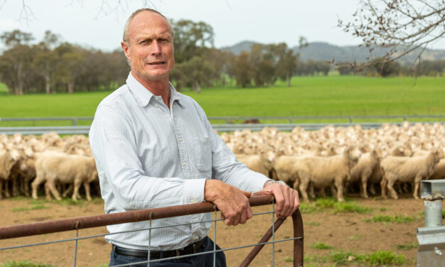 Farmers’ silent struggle: the crisis in rural Australia