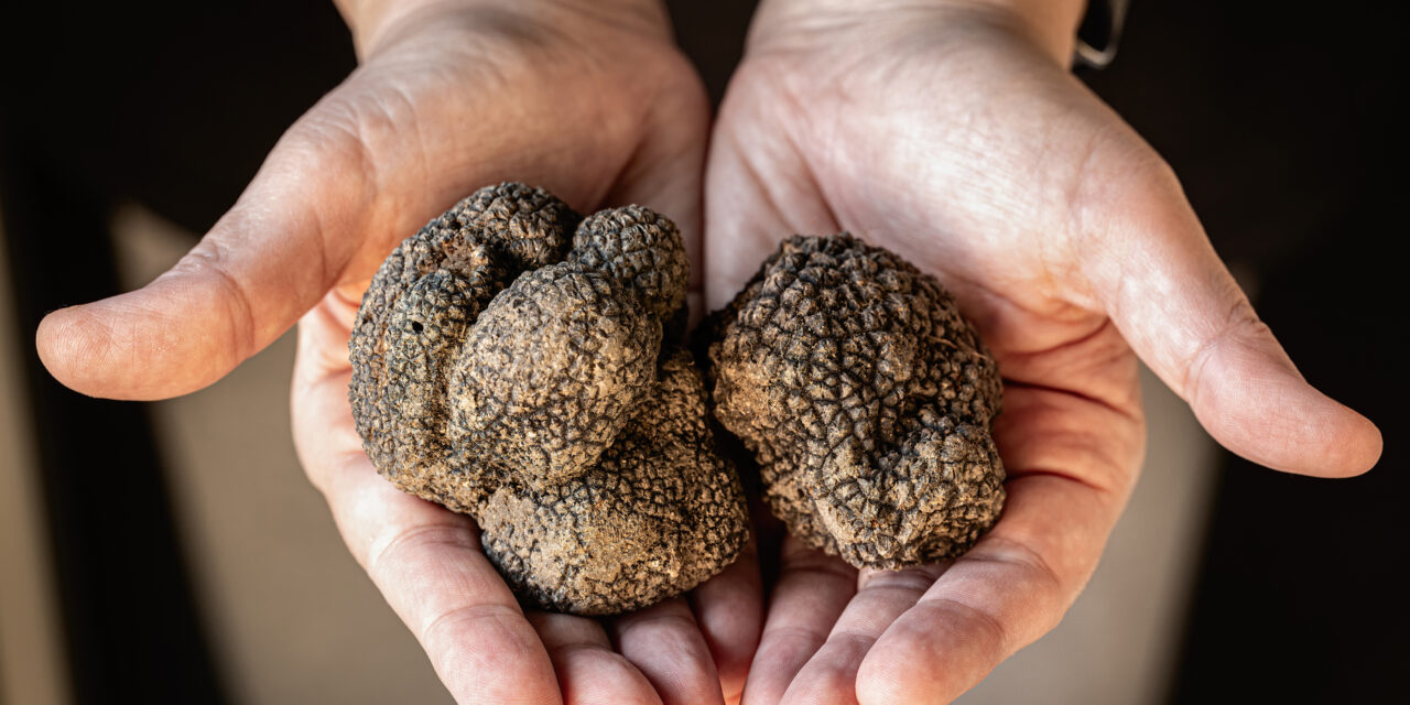 Sustainable pest control options for truffles