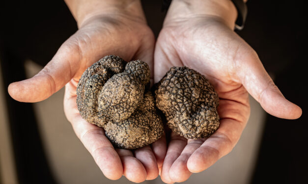 Sustainable pest control options for truffles