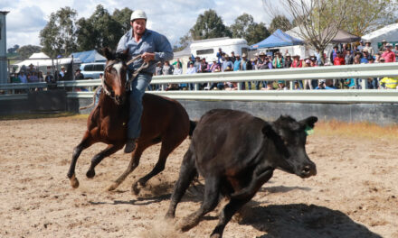 High Country on display