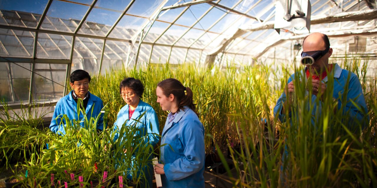 Program to boost ag innovation