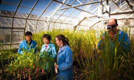 Program to boost ag innovation