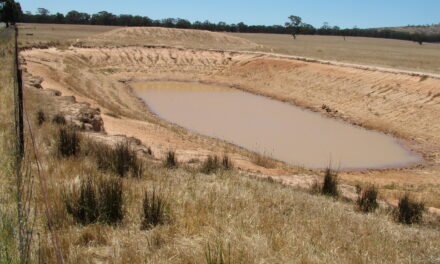 When will dams fill up?