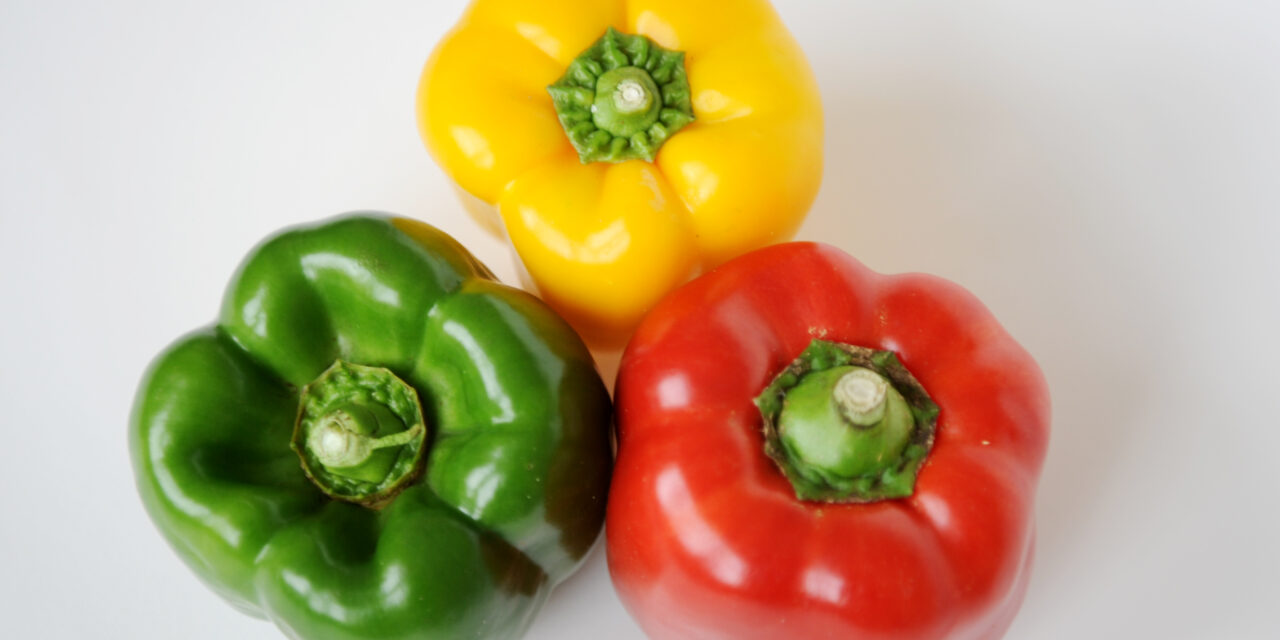 CQU fights food waste